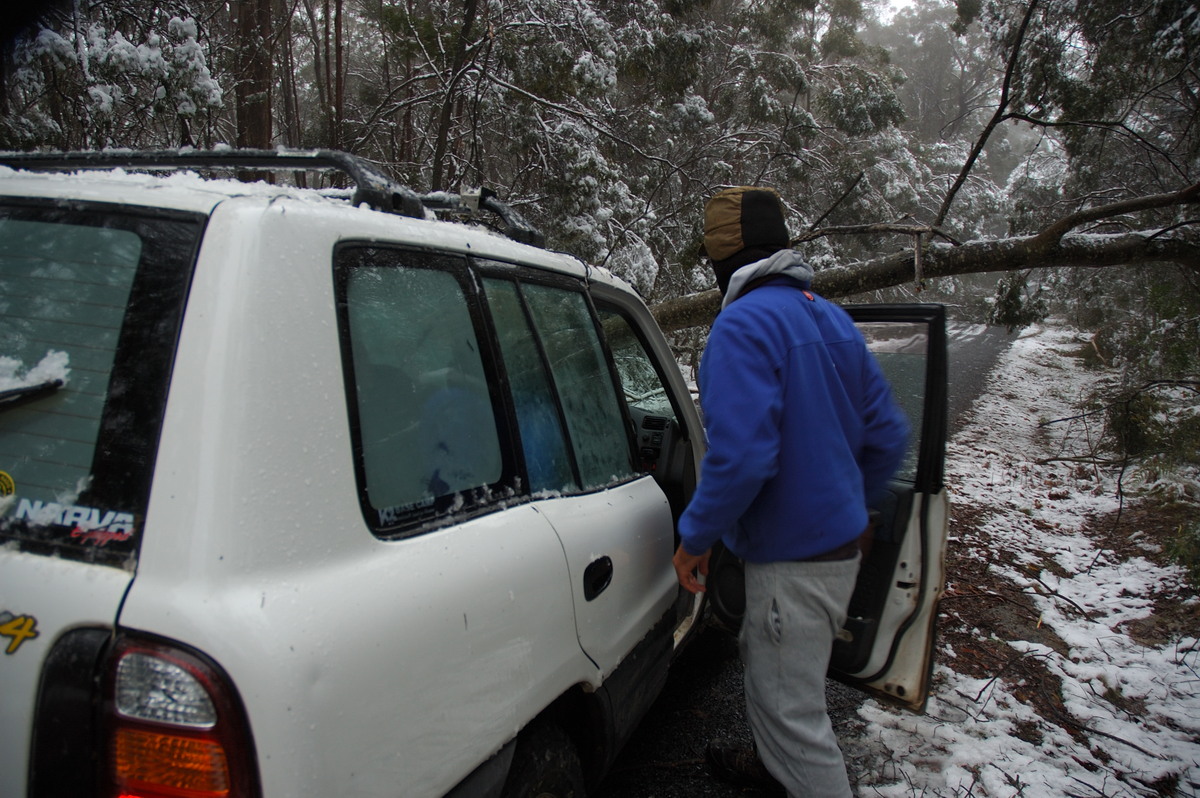 disasters storm_damage : near Tenterfield, NSW   9 June 2007