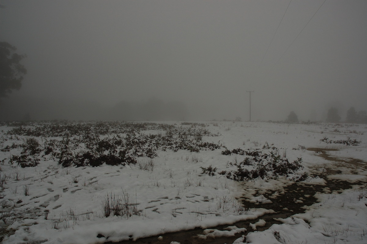 snow snow_pictures : near Tenterfield, NSW   9 June 2007