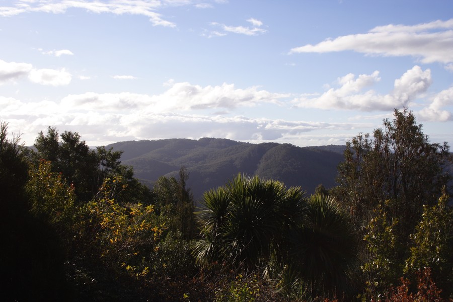 cumulus humilis : Mt Tomah, NSW   10 June 2007