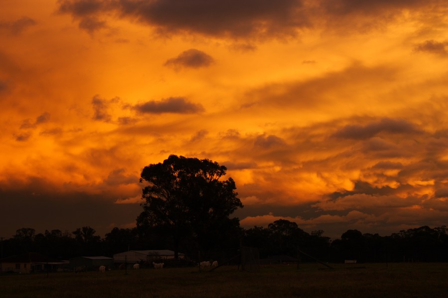 sunset sunset_pictures : Schofields, NSW   15 June 2007