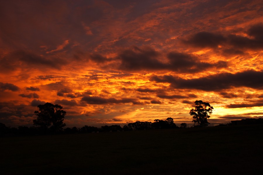 sunset sunset_pictures : Schofields, NSW   15 June 2007