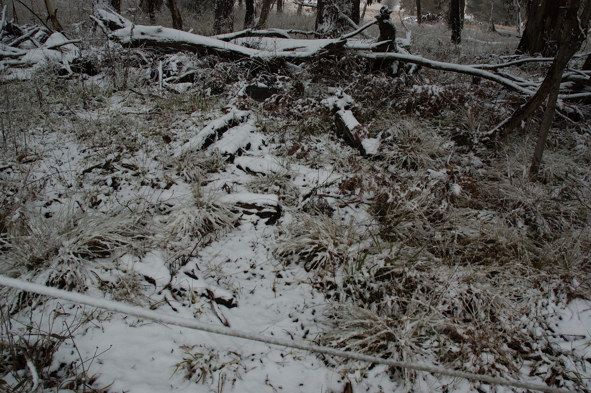 snow snow_pictures : Ben Lomond, NSW   28 June 2007