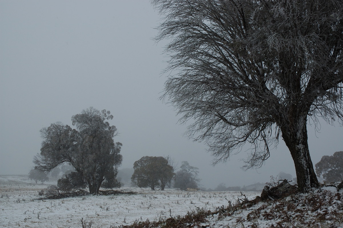 snow snow_pictures : Ben Lomond, NSW   28 June 2007