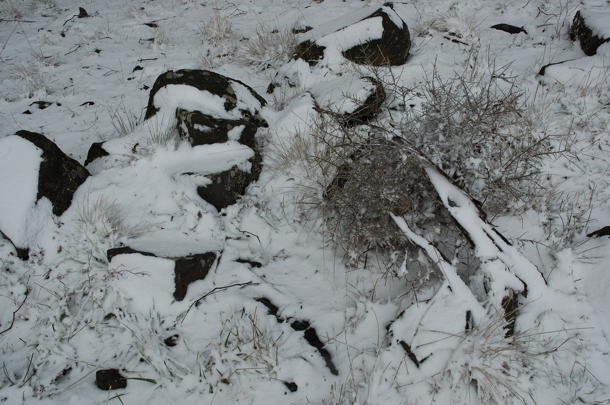 snow snow_pictures : Ben Lomond, NSW   28 June 2007