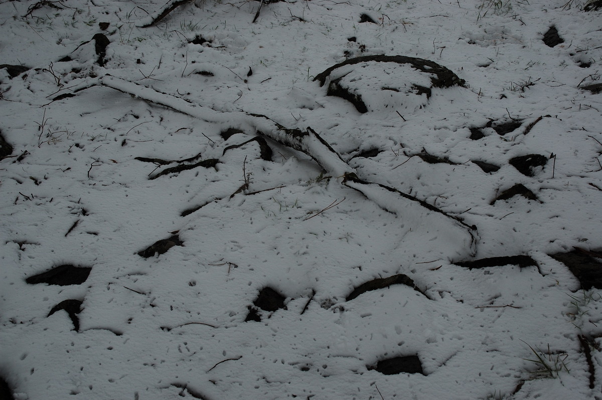 snow snow_pictures : Ben Lomond, NSW   28 June 2007