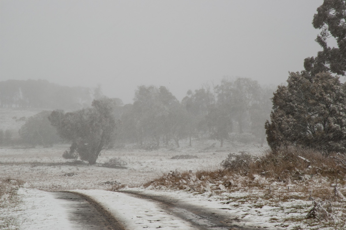 precipitation precipitation_rain : Ben Lomond, NSW   28 June 2007