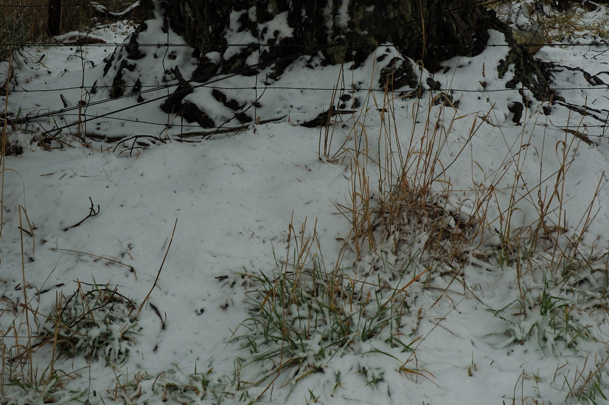 snow snow_pictures : Ben Lomond, NSW   28 June 2007