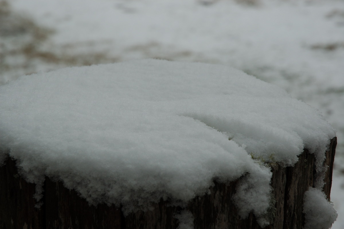 snow snow_pictures : Ben Lomond, NSW   28 June 2007