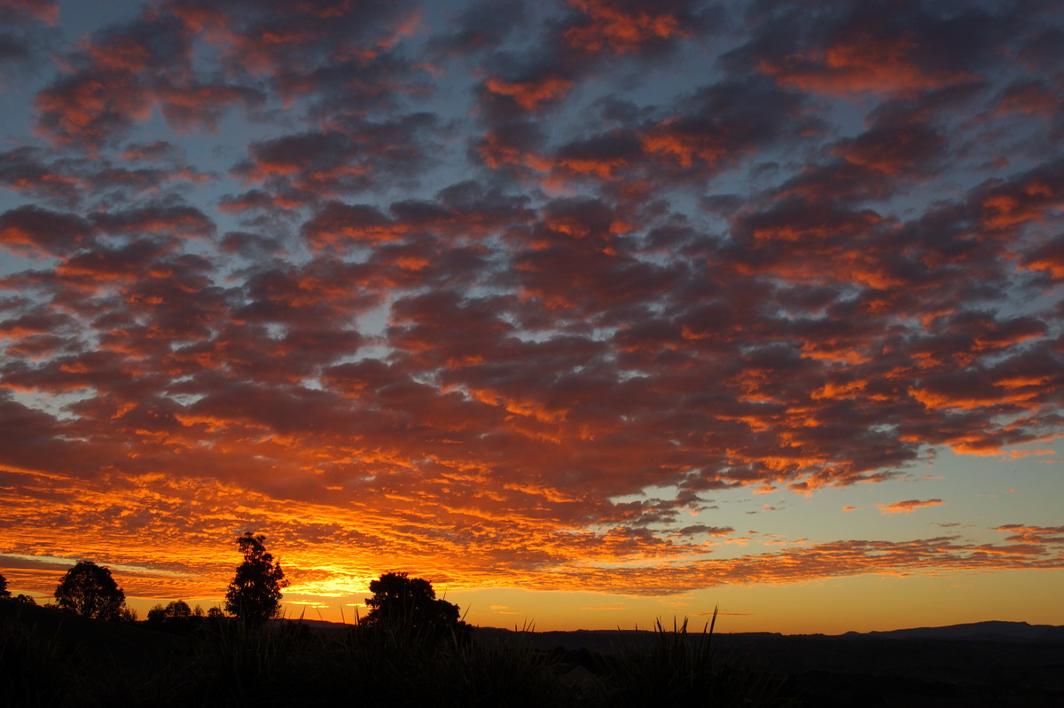 sunset sunset_pictures : McLeans Ridges, NSW   3 July 2007