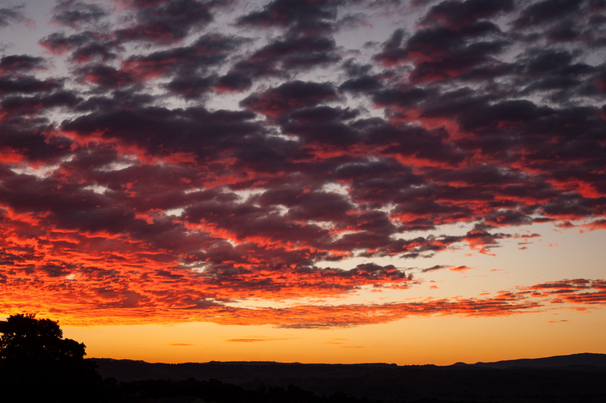 sunset sunset_pictures : McLeans Ridges, NSW   3 July 2007