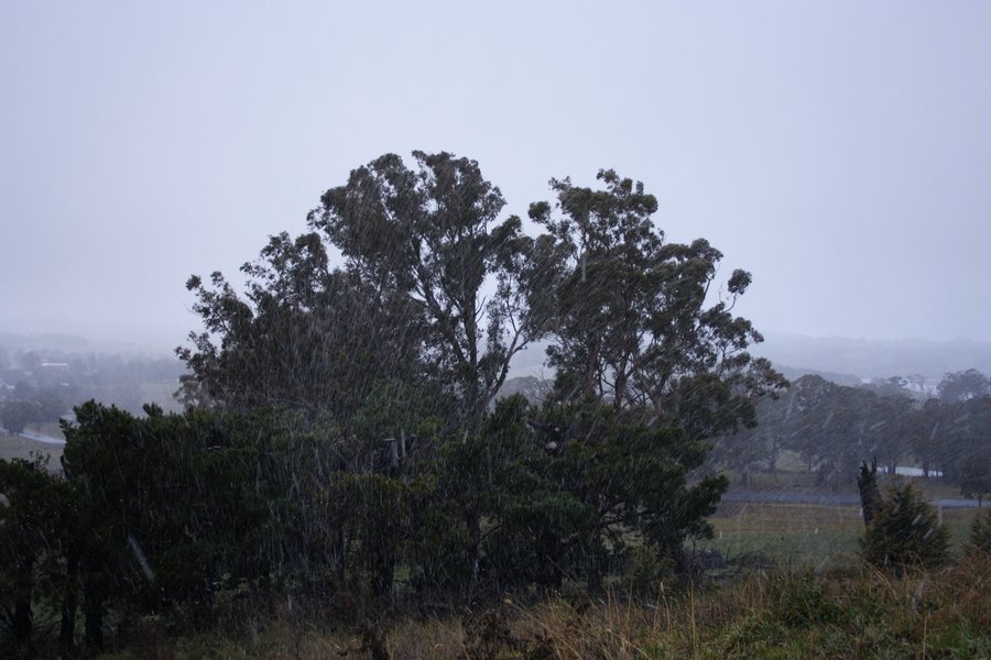 precipitation precipitation_rain : Oberon, NSW   5 July 2007