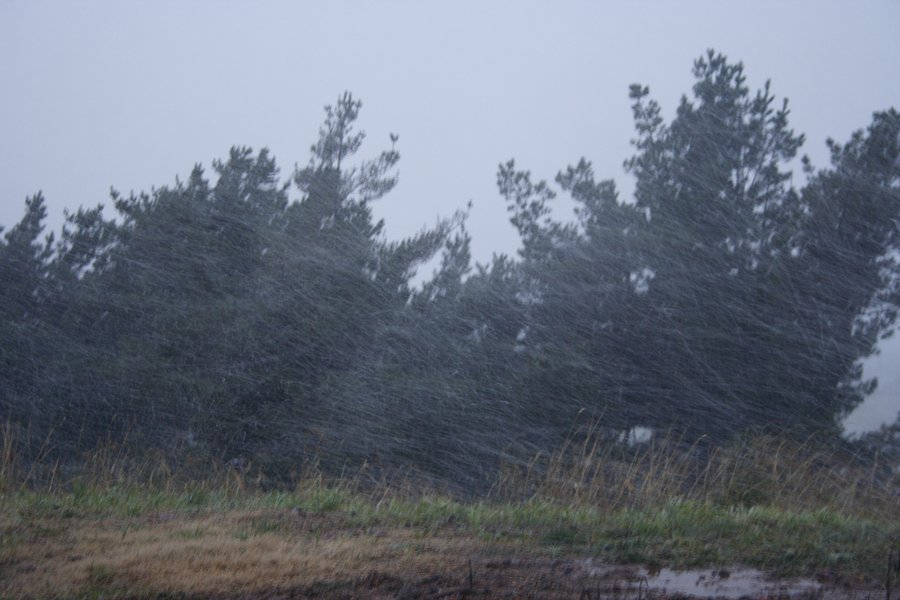 snow snow_pictures : Oberon, NSW   5 July 2007