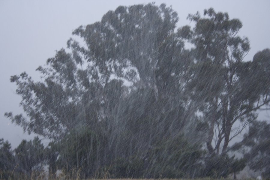 snow snow_pictures : Oberon, NSW   5 July 2007