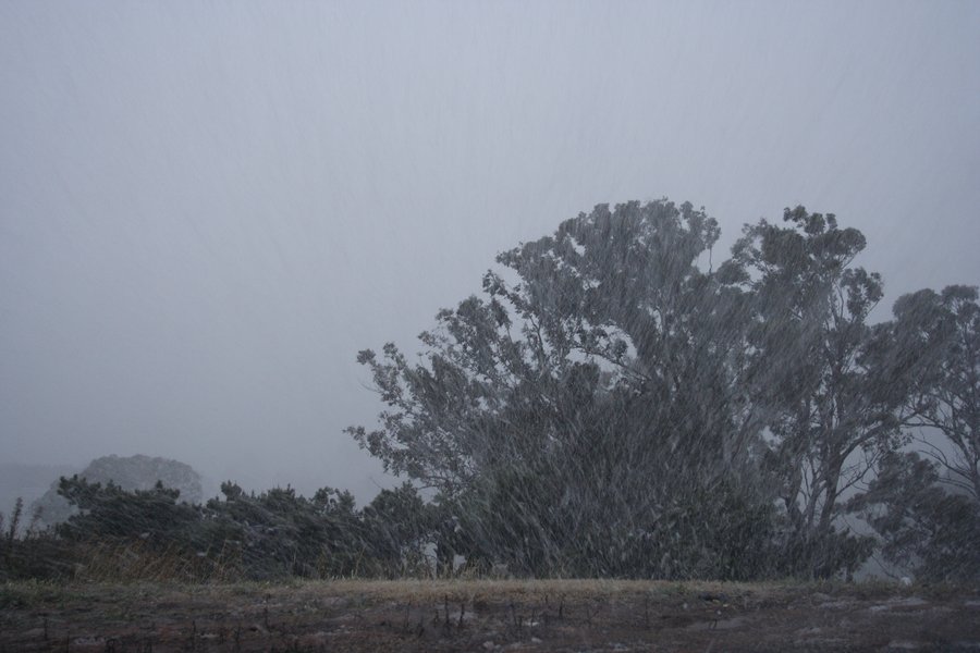 precipitation precipitation_rain : Oberon, NSW   5 July 2007