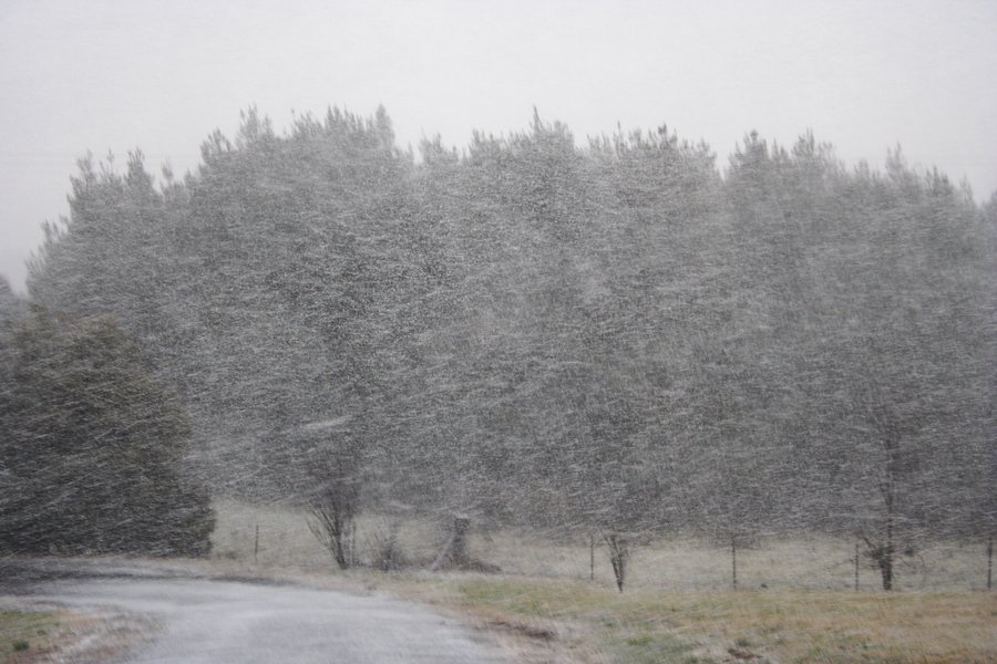 snow snow_pictures : Oberon, NSW   5 July 2007