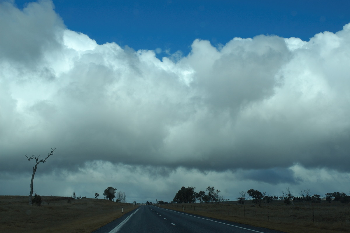 cumulus mediocris : near Glen Innes, NSW   8 July 2007