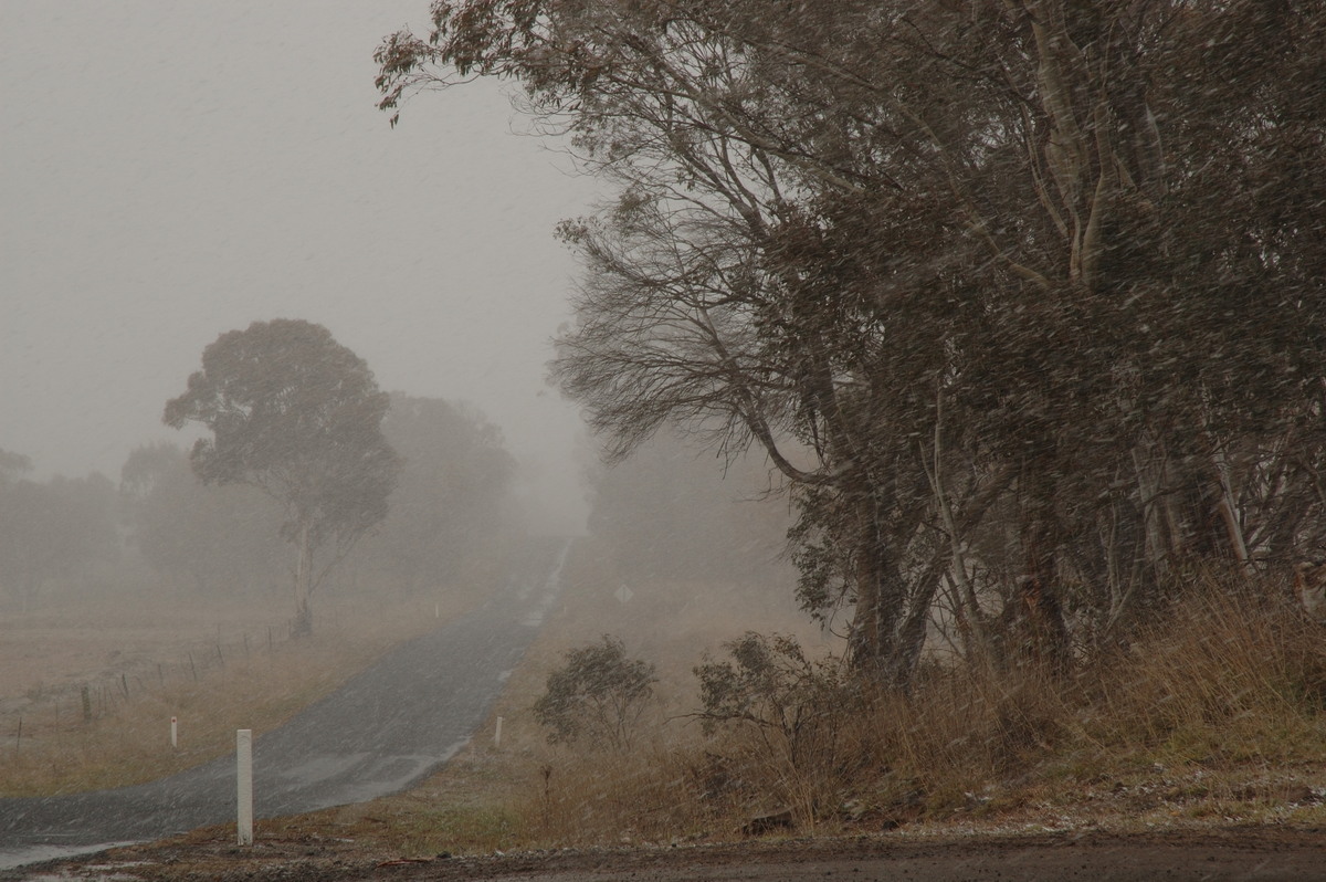 snow snow_pictures : Ben Lomond, NSW   8 July 2007