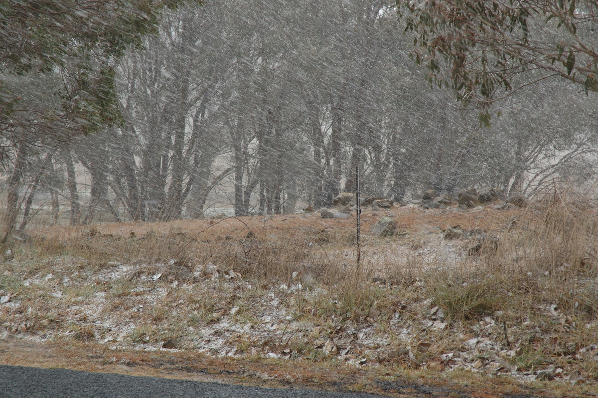 precipitation precipitation_rain : Ben Lomond, NSW   8 July 2007