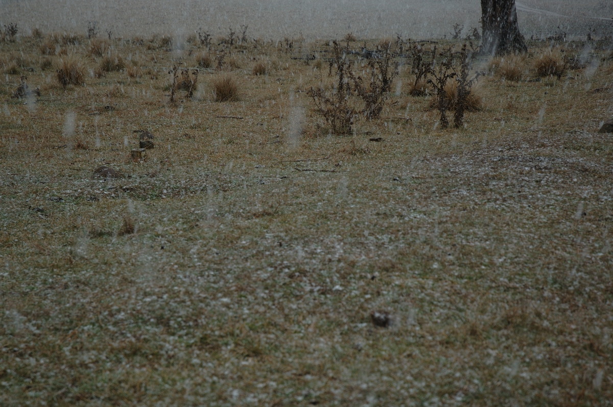 snow snow_pictures : near Ben Lomond, NSW   8 July 2007