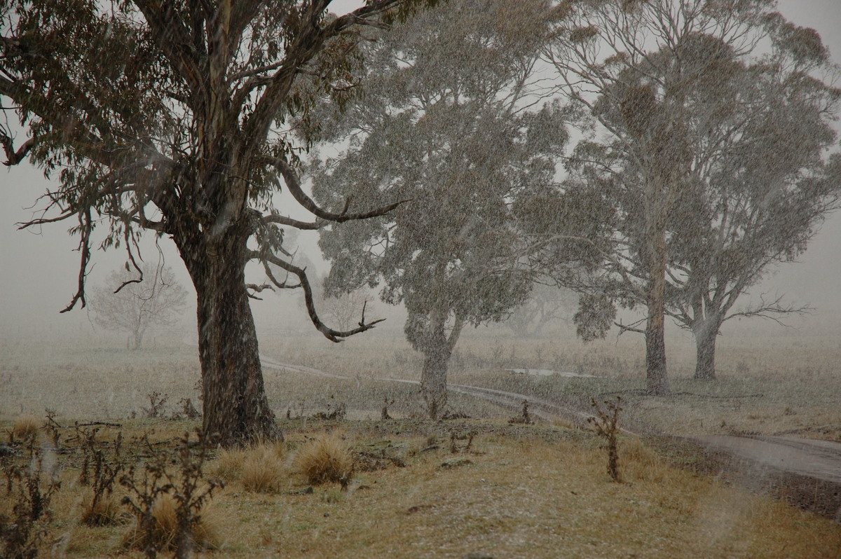 precipitation precipitation_rain : near Ben Lomond, NSW   8 July 2007