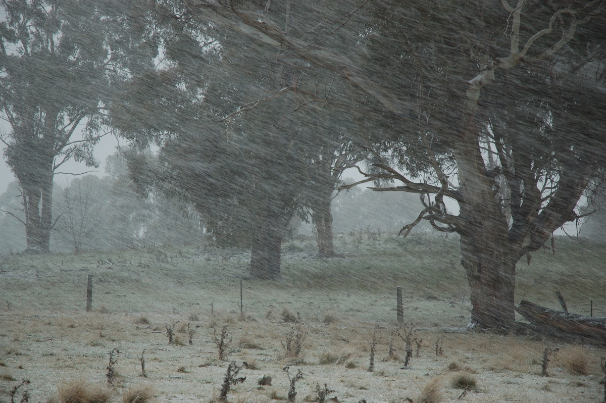 snow snow_pictures : near Ben Lomond, NSW   8 July 2007