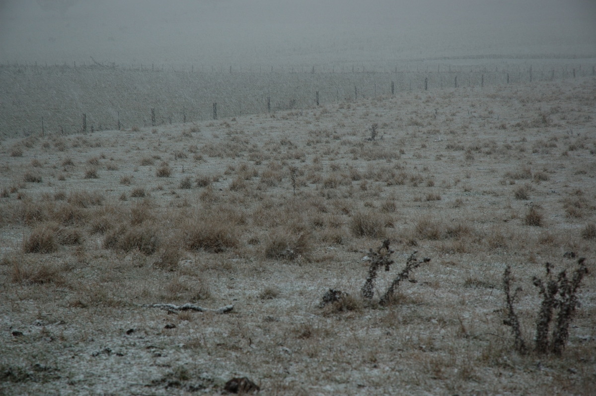 snow snow_pictures : near Ben Lomond, NSW   8 July 2007