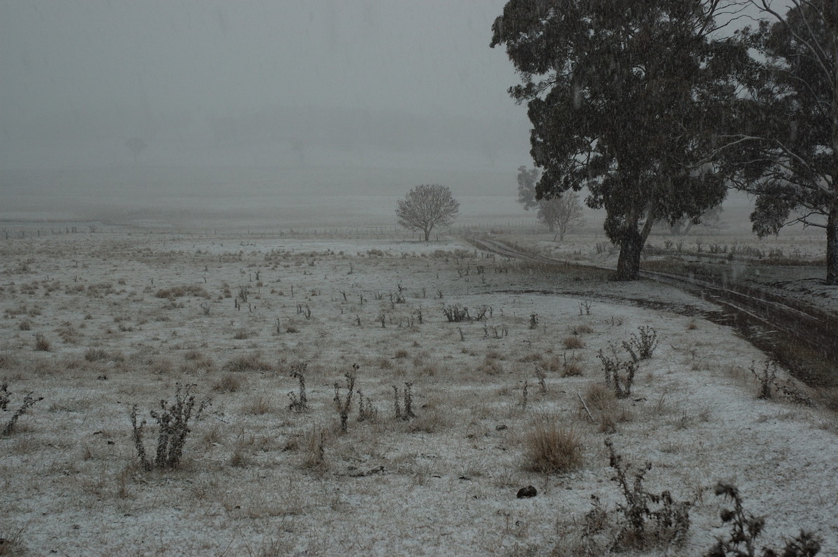 precipitation precipitation_rain : near Ben Lomond, NSW   8 July 2007