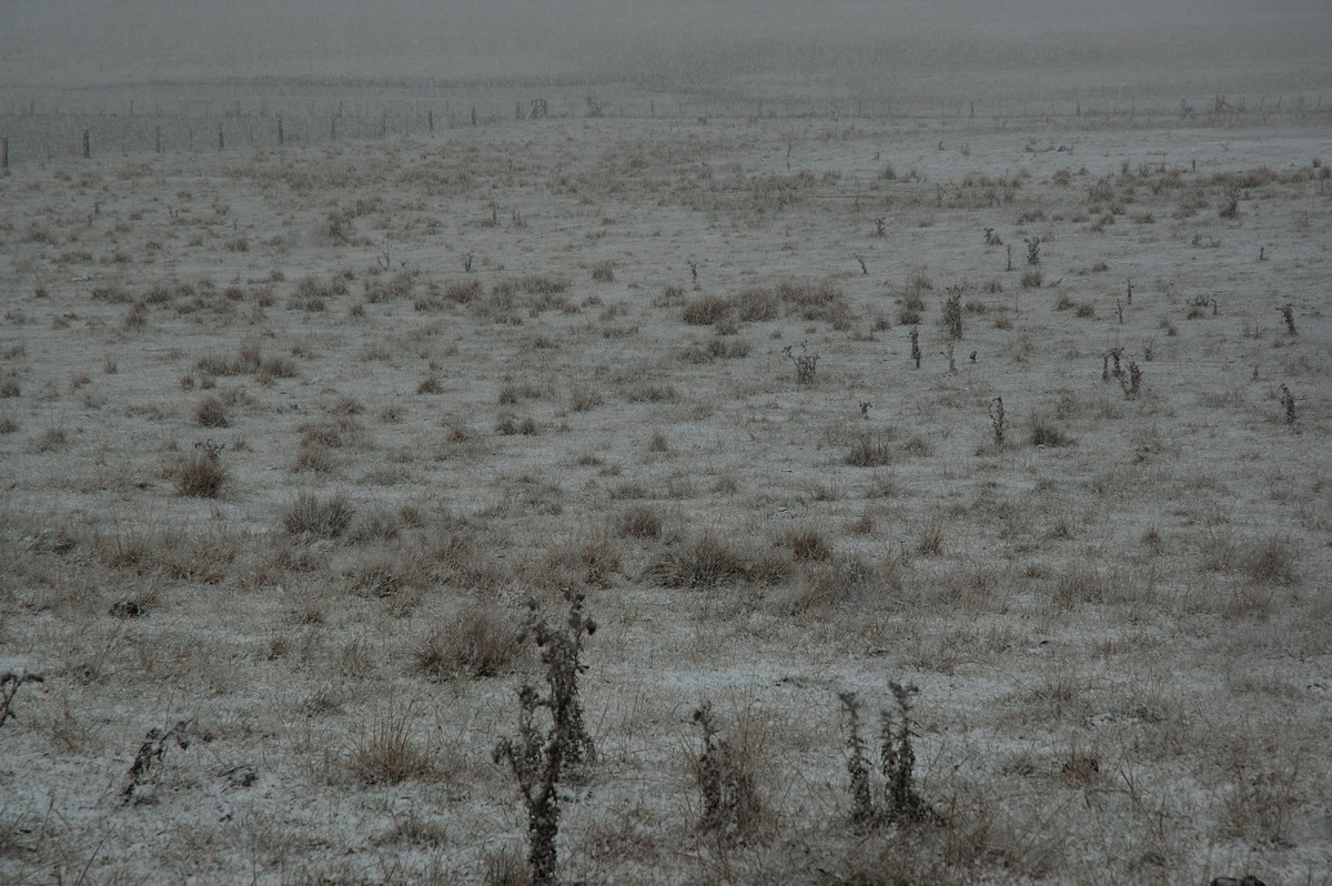 precipitation precipitation_rain : near Ben Lomond, NSW   8 July 2007