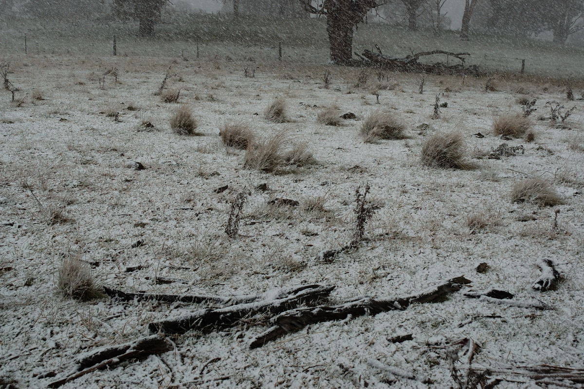 snow snow_pictures : near Ben Lomond, NSW   8 July 2007