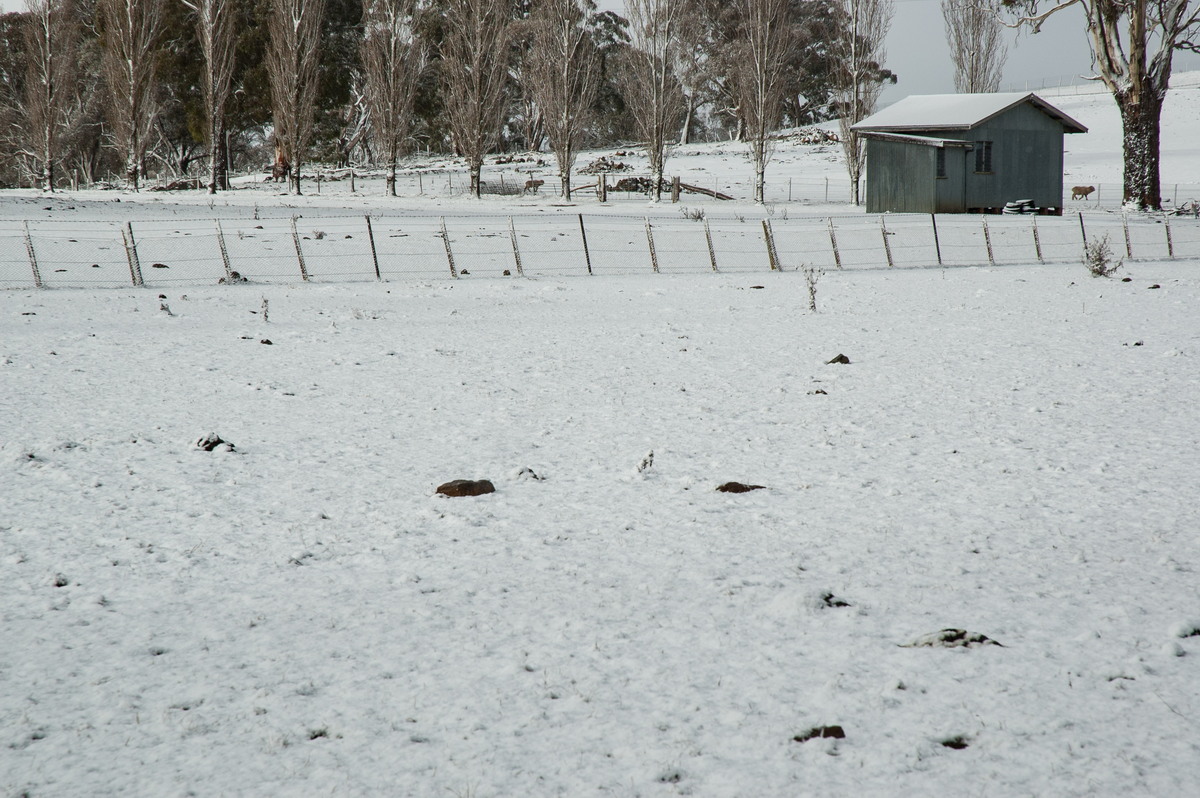 snow snow_pictures : near Ben Lomond, NSW   8 July 2007