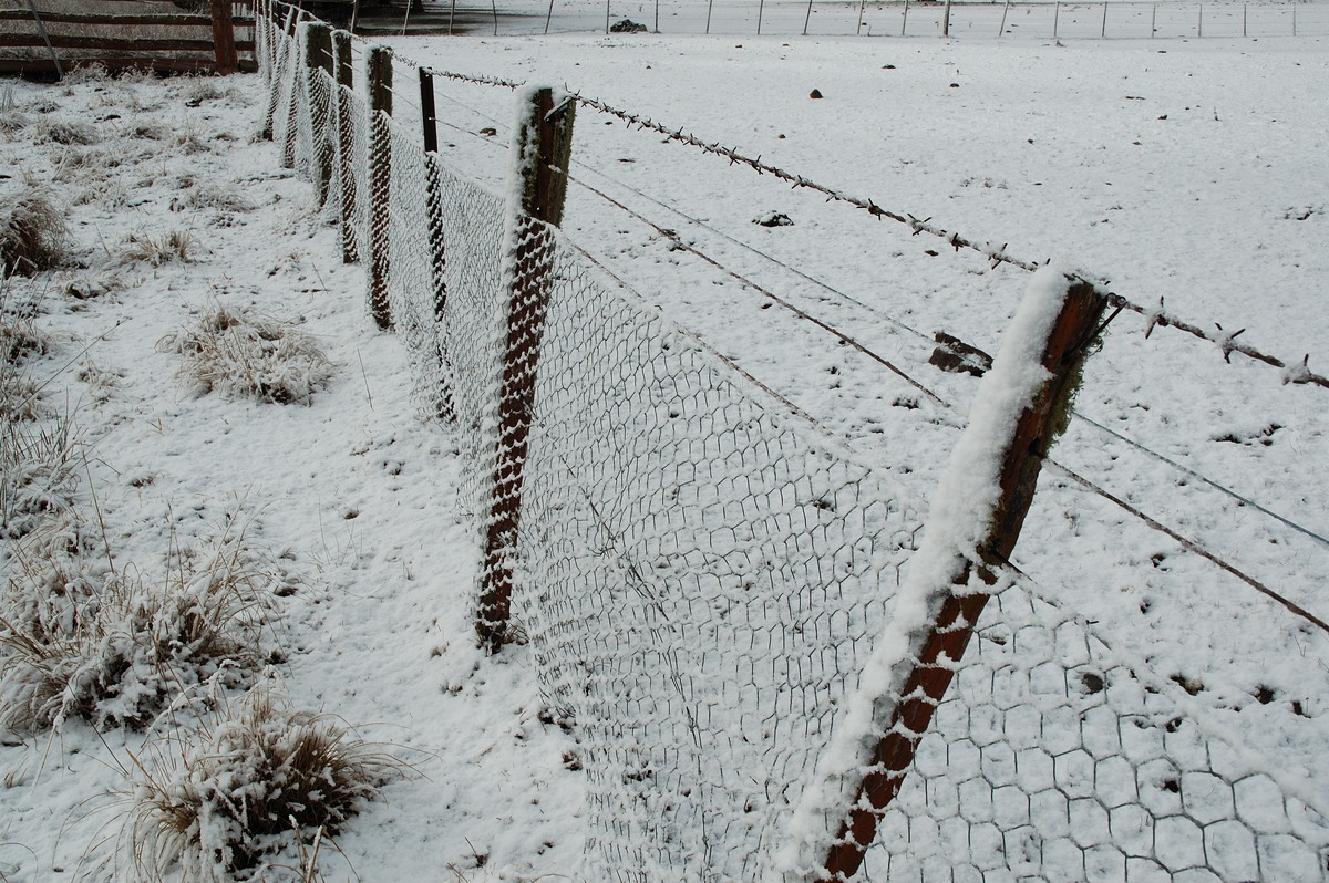 snow snow_pictures : near Ben Lomond, NSW   8 July 2007