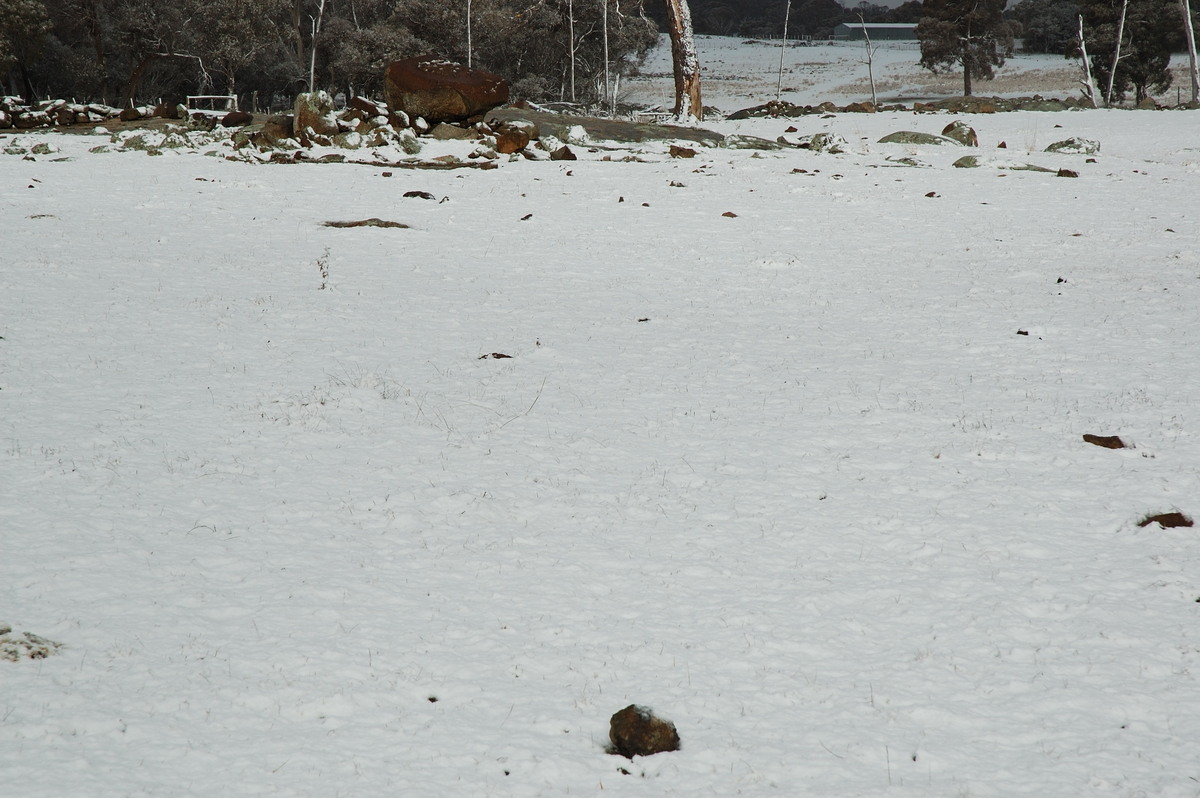 snow snow_pictures : near Ben Lomond, NSW   8 July 2007