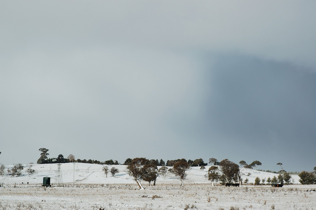 snow snow_pictures : near Ben Lomond, NSW   8 July 2007