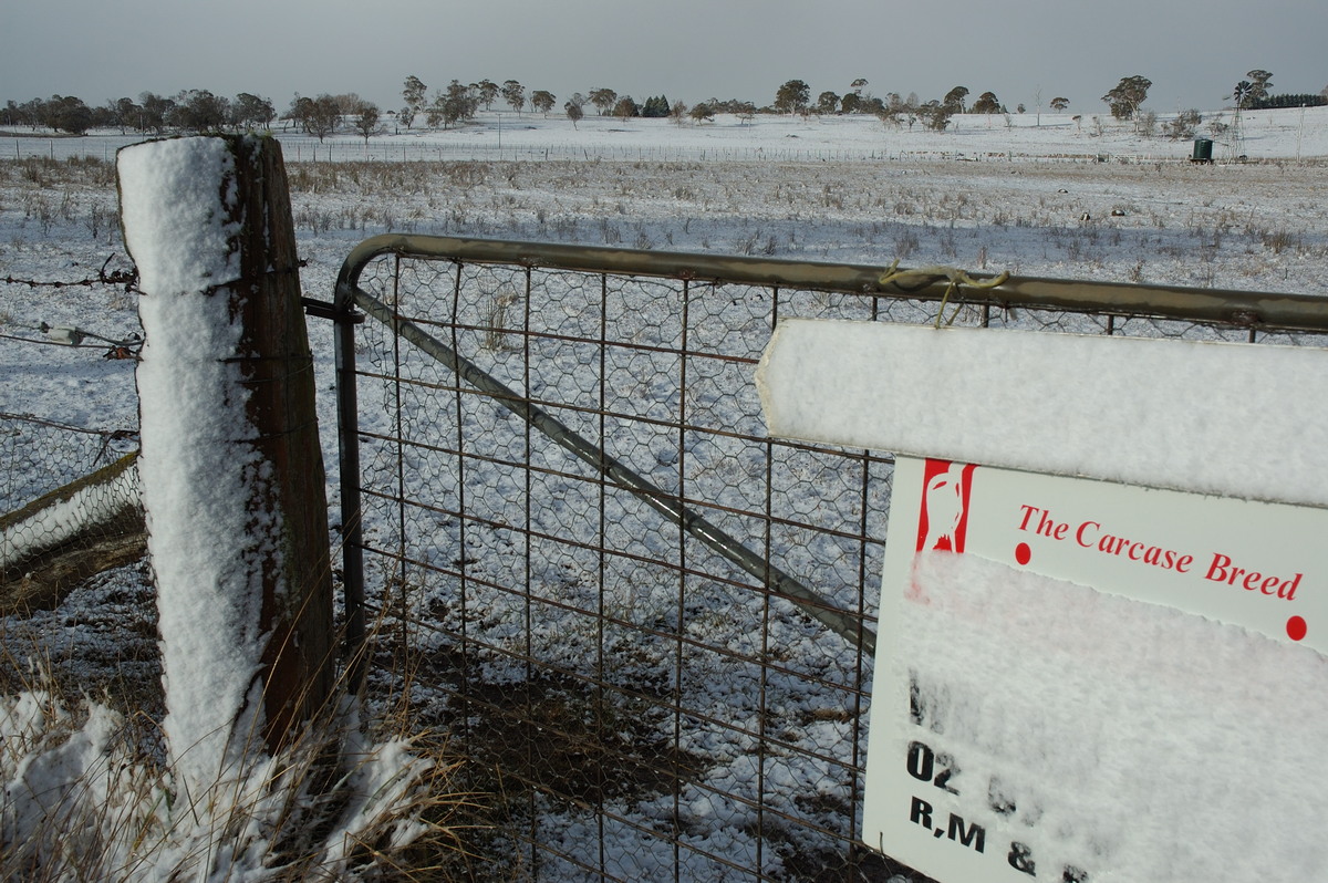 snow snow_pictures : near Ben Lomond, NSW   8 July 2007