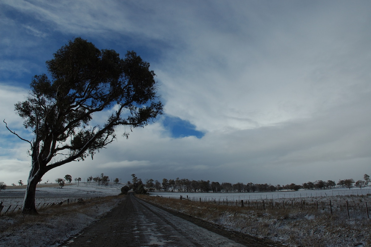 snow snow_pictures : near Ben Lomond, NSW   8 July 2007