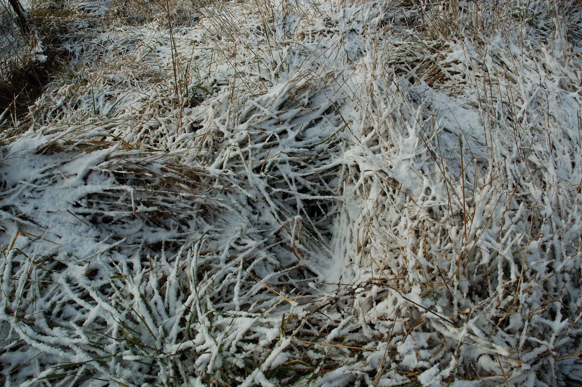 snow snow_pictures : near Ben Lomond, NSW   8 July 2007