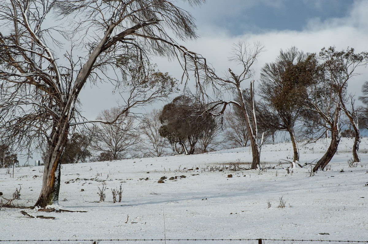 snow snow_pictures : near Ben Lomond, NSW   8 July 2007