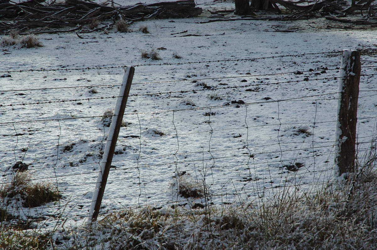 snow snow_pictures : near Ben Lomond, NSW   8 July 2007