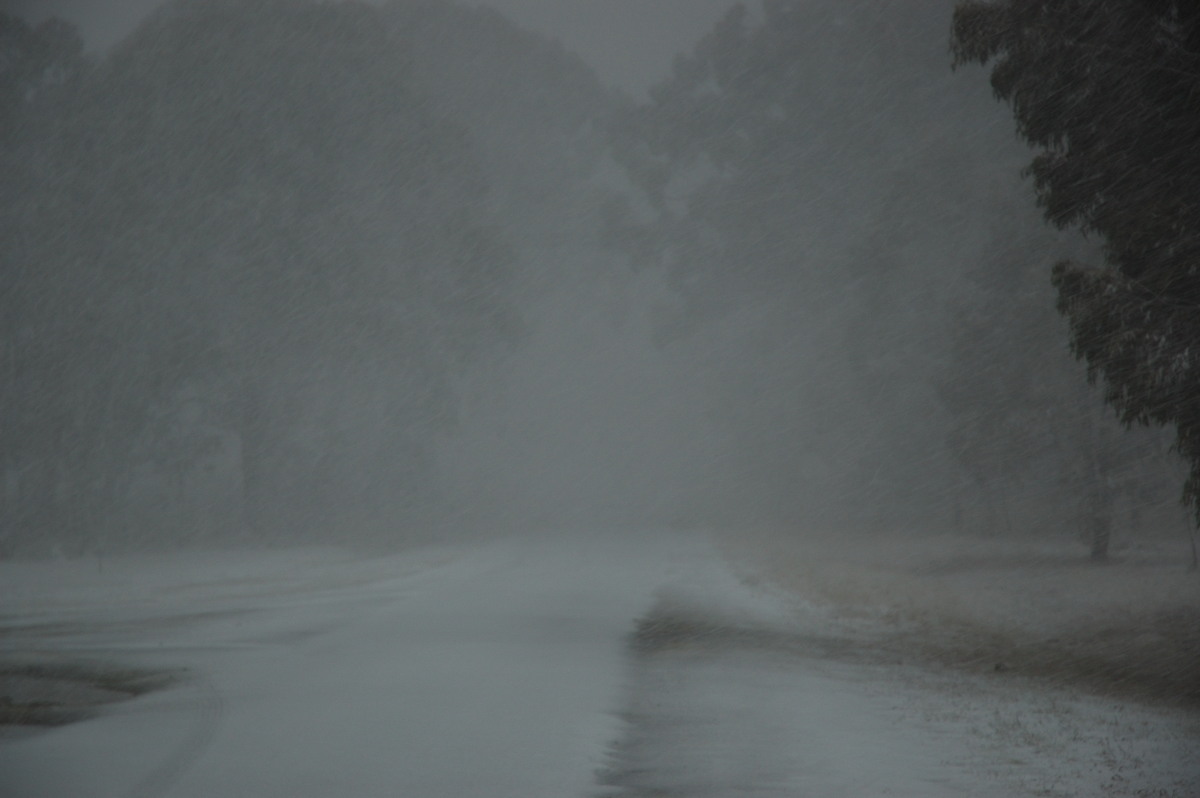 precipitation precipitation_rain : Ben Lomond, NSW   8 July 2007