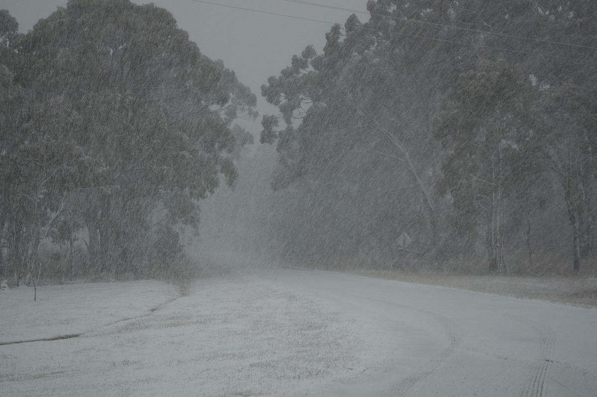 snow snow_pictures : Ben Lomond, NSW   8 July 2007