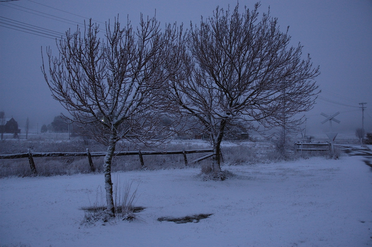 snow snow_pictures : Ben Lomond, NSW   8 July 2007