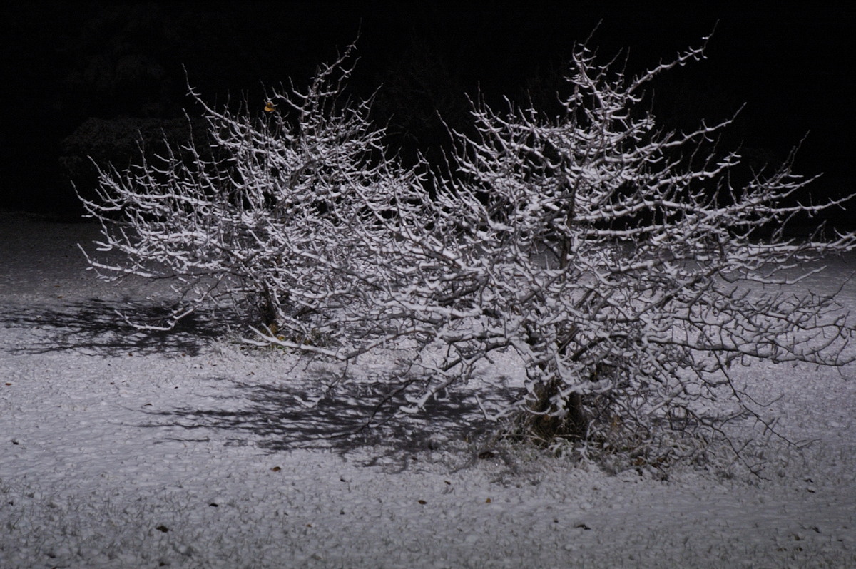 snow snow_pictures : Guyra, NSW   8 July 2007