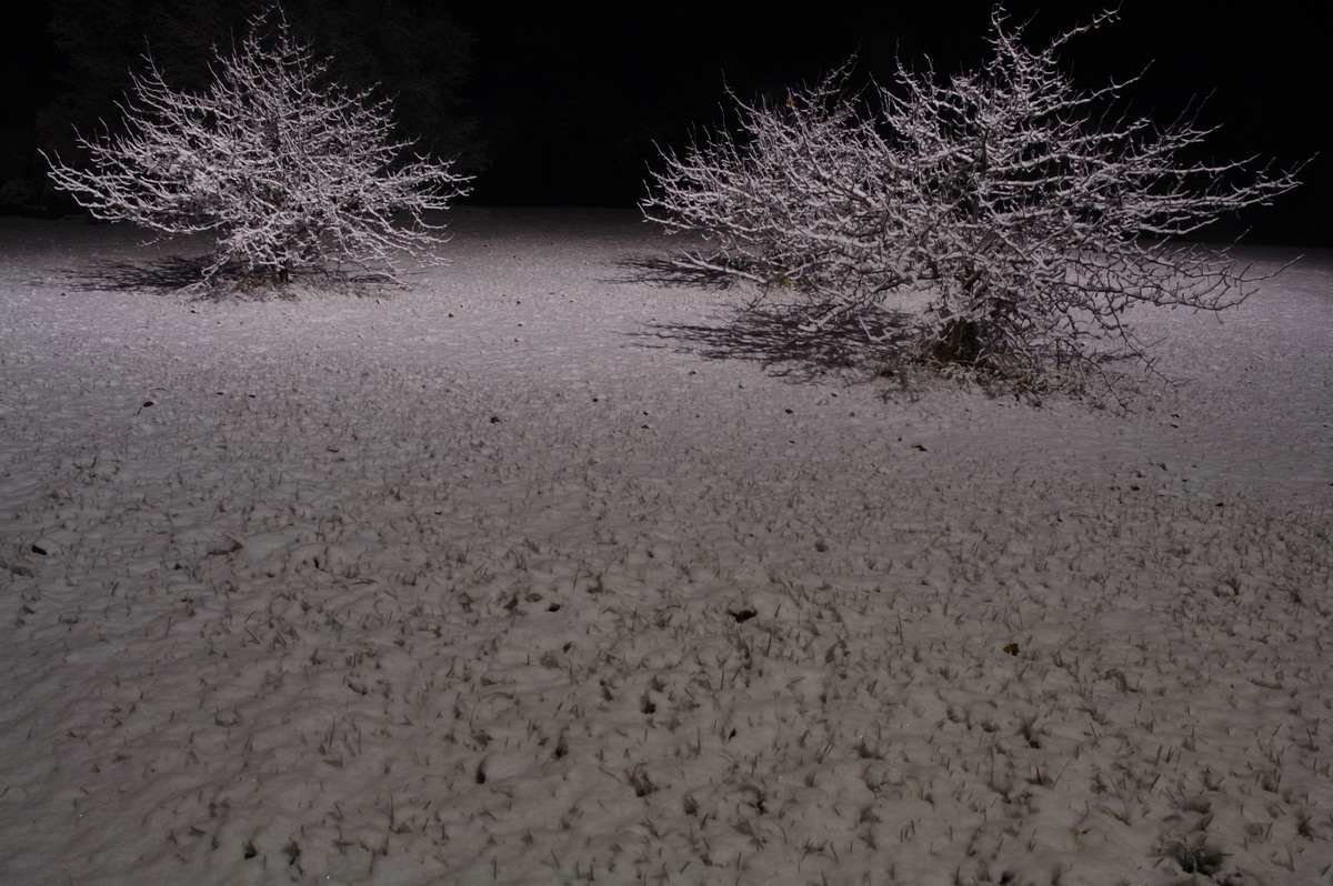 snow snow_pictures : Guyra, NSW   8 July 2007