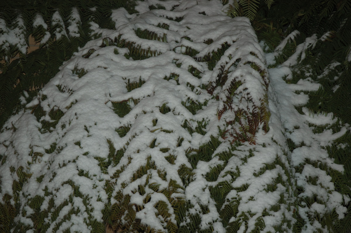 snow snow_pictures : Guyra, NSW   8 July 2007