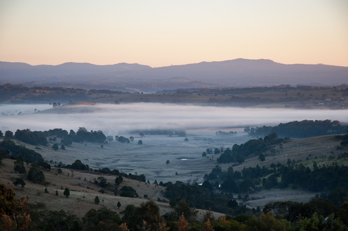 fogmist fog_mist_frost : McLeans Ridges, NSW   16 July 2007