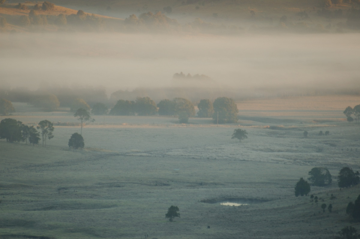 fogmist fog_mist_frost : McLeans Ridges, NSW   16 July 2007