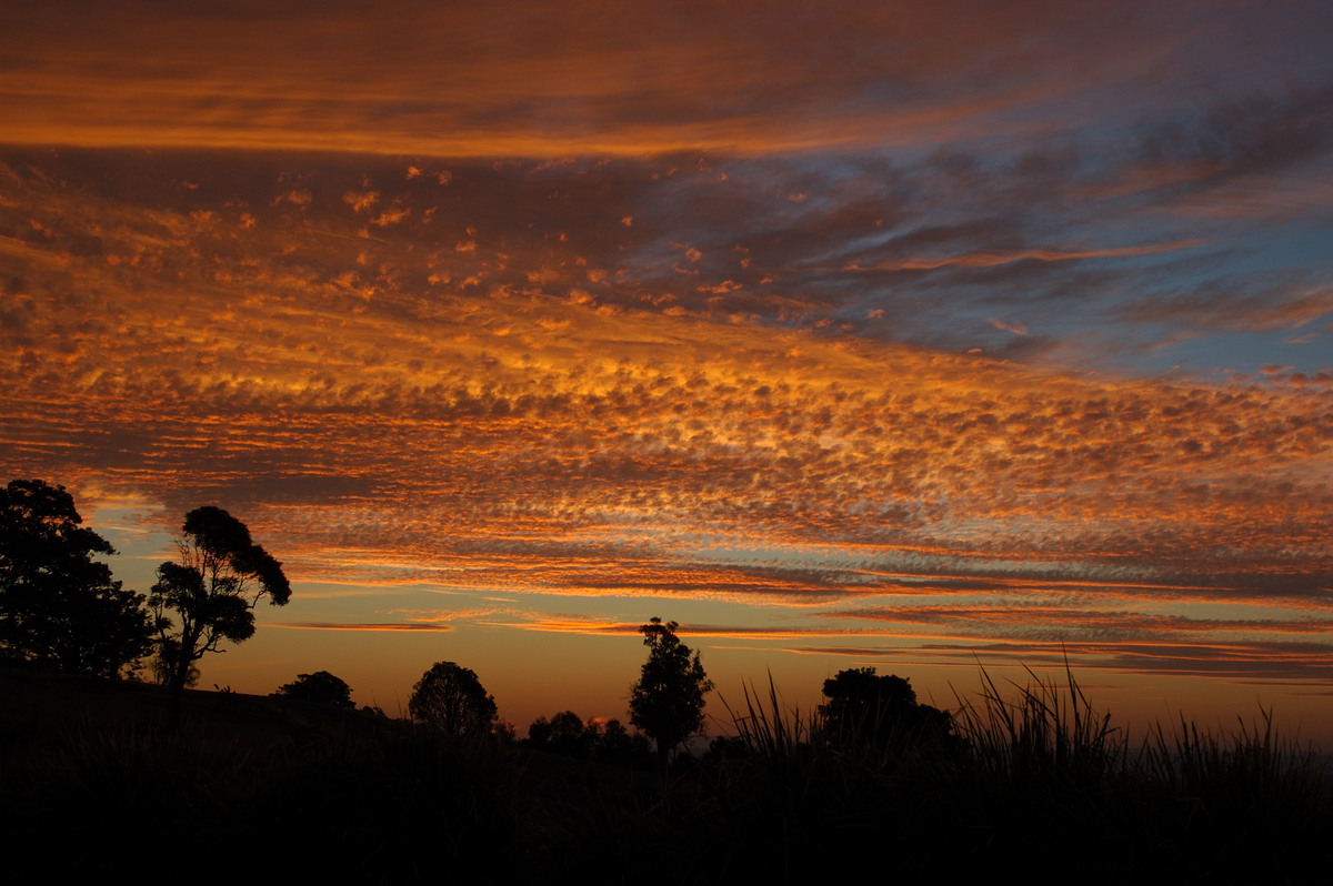 sunset sunset_pictures : McLeans Ridges, NSW   1 August 2007