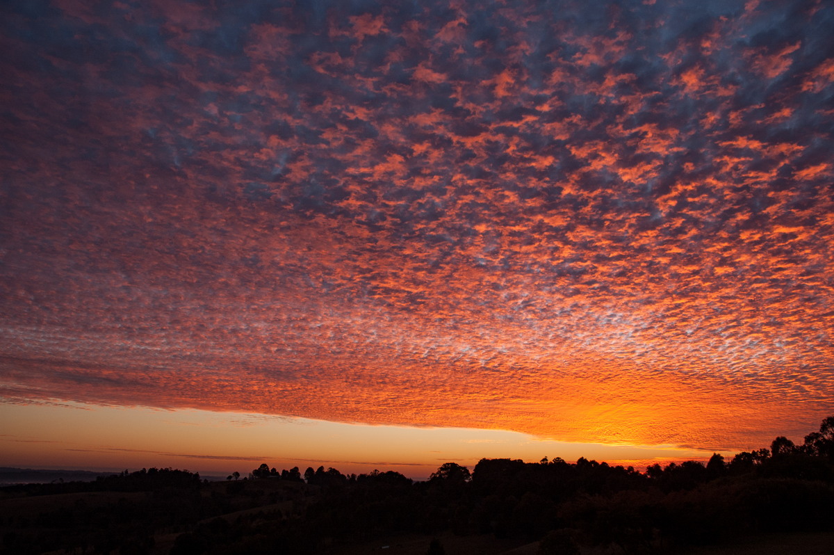 sunrise sunrise_pictures : McLeans Ridges, NSW   2 August 2007