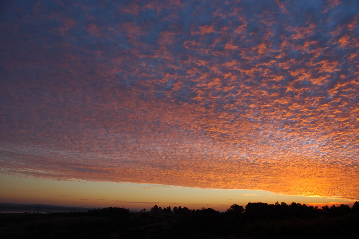 altocumulus mackerel_sky : McLeans Ridges, NSW   2 August 2007