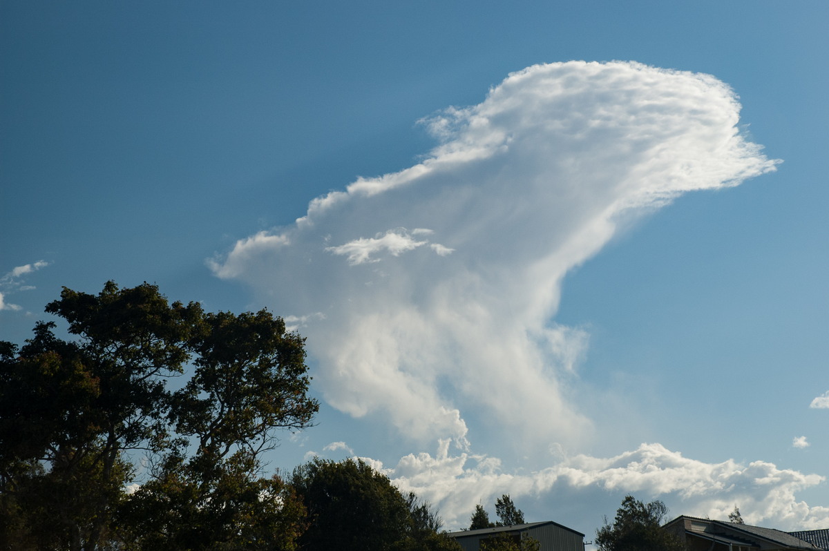 anvil thunderstorm_anvils : McLeans Ridges, NSW   11 September 2007